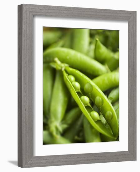 Pea Pods, One Open-Greg Elms-Framed Photographic Print