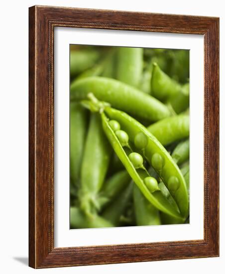 Pea Pods, One Open-Greg Elms-Framed Photographic Print