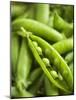 Pea Pods, One Open-Greg Elms-Mounted Photographic Print