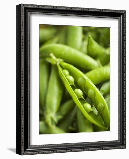 Pea Pods, One Open-Greg Elms-Framed Photographic Print