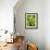 Pea Pods, One Open-Greg Elms-Framed Photographic Print displayed on a wall
