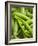 Pea Pods, One Open-Greg Elms-Framed Photographic Print