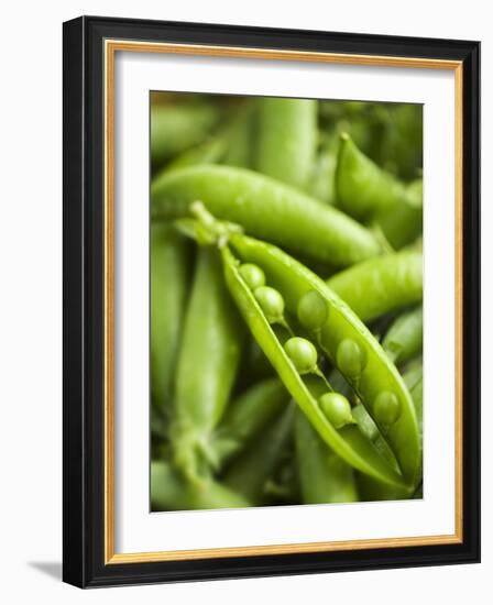 Pea Pods, One Open-Greg Elms-Framed Photographic Print