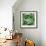 Pea Pods-Stacy Bass-Framed Giclee Print displayed on a wall