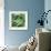 Pea Pods-Stacy Bass-Framed Giclee Print displayed on a wall