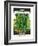 Pea Seed Packet-null-Framed Art Print