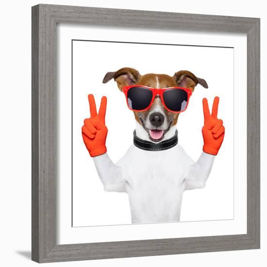 Peace And Victory Fingers Dog-Javier Brosch-Framed Photographic Print