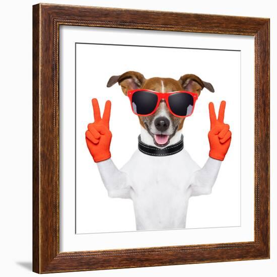 Peace And Victory Fingers Dog-Javier Brosch-Framed Photographic Print