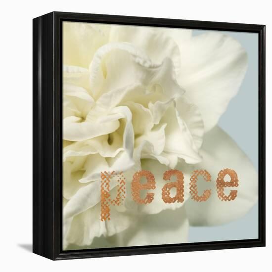 Peace Blossom-Julie Greenwood-Framed Stretched Canvas