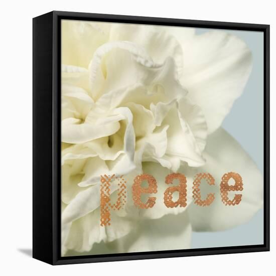 Peace Blossom-Julie Greenwood-Framed Stretched Canvas