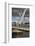 Peace Bridge, across the River Foyle, Derry (Londonderry), County Londonderry, Ulster, Northern Ire-Nigel Hicks-Framed Photographic Print