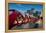 Peace Bridge, Calgary, Alberta, Canada-Stefano Politi Markovina-Framed Premier Image Canvas