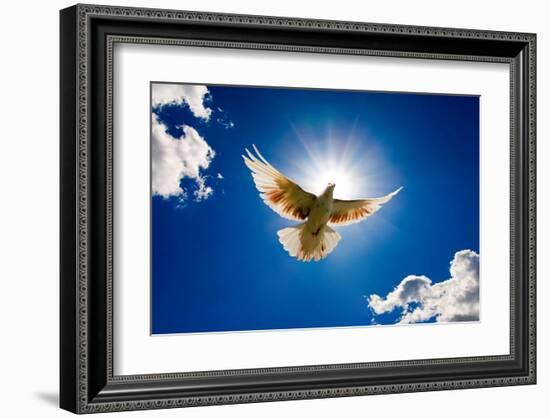 Peace Dove in-front of the sun-null-Framed Art Print