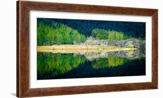 Peace in the Forest-Lynne Douglas-Framed Photographic Print