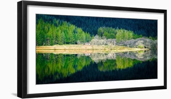 Peace in the Forest-Lynne Douglas-Framed Photographic Print
