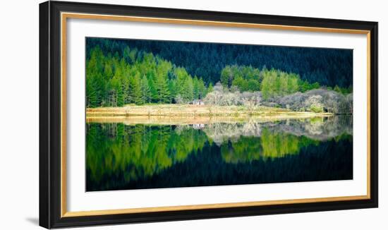 Peace in the Forest-Lynne Douglas-Framed Photographic Print