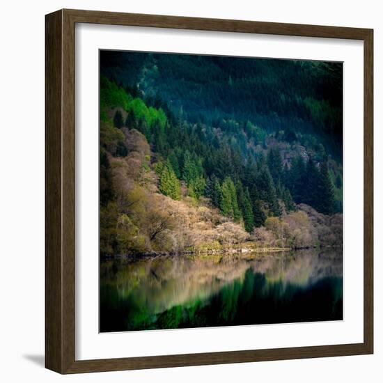 Peace in the Forest-Lynne Douglas-Framed Photographic Print