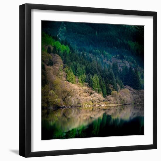 Peace in the Forest-Lynne Douglas-Framed Photographic Print