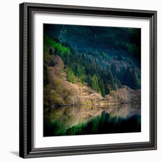 Peace in the Forest-Lynne Douglas-Framed Photographic Print