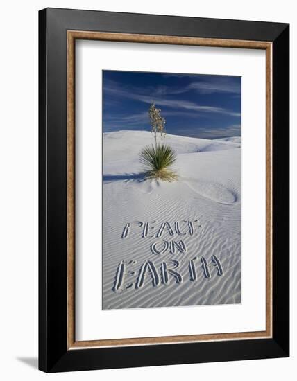 Peace on Earth Written in Sand-Darrell Gulin-Framed Photographic Print