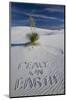Peace on Earth Written in Sand-Darrell Gulin-Mounted Photographic Print