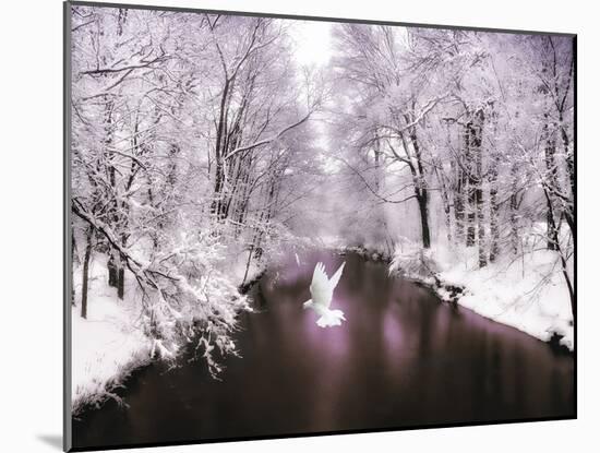 Peace on Earth-Jessica Jenney-Mounted Photographic Print