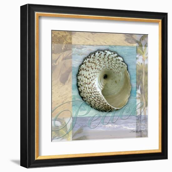 Peace Shell-Todd Williams-Framed Art Print