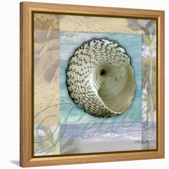 Peace Shell-Todd Williams-Framed Stretched Canvas