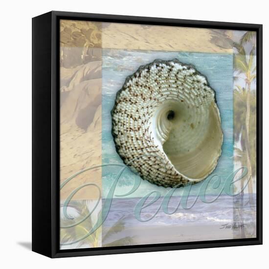 Peace Shell-Todd Williams-Framed Stretched Canvas