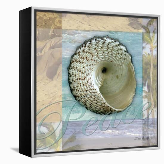 Peace Shell-Todd Williams-Framed Stretched Canvas