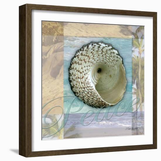 Peace Shell-Todd Williams-Framed Art Print