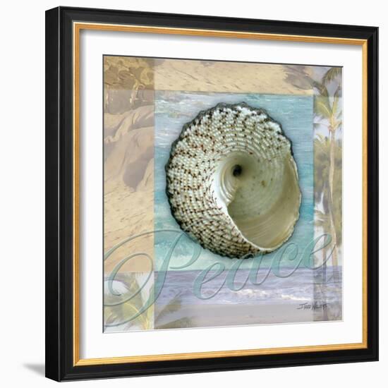 Peace Shell-Todd Williams-Framed Art Print