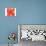 Peace Sign Ladybugs II-Alan Hopfensperger-Art Print displayed on a wall
