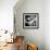 Peace-Gideon Ansell-Framed Photographic Print displayed on a wall