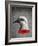 Peace-Anthony Freda-Framed Giclee Print