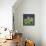 Peaceable Kingdom 15-David Sheskin-Framed Premier Image Canvas displayed on a wall