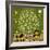 Peaceable Kingdom 18-David Sheskin-Framed Giclee Print