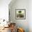 Peaceable Kingdom 22-David Sheskin-Framed Giclee Print displayed on a wall