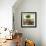 Peaceable Kingdom 22-David Sheskin-Framed Giclee Print displayed on a wall