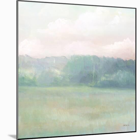 Peaceful Calm 2-Stellar Design Studio-Mounted Art Print