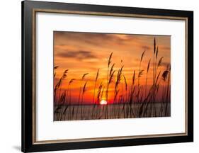 Peaceful Chesapeake Bay Sunrise in Calvert County, Maryland.-Yvonne Navalaney-Framed Photographic Print