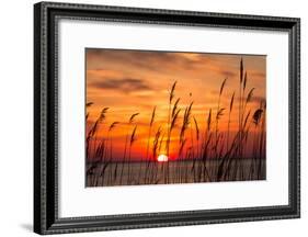 Peaceful Chesapeake Bay Sunrise in Calvert County, Maryland.-Yvonne Navalaney-Framed Photographic Print