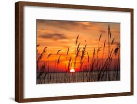 Peaceful Chesapeake Bay Sunrise in Calvert County, Maryland.-Yvonne Navalaney-Framed Photographic Print