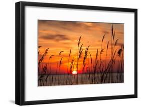 Peaceful Chesapeake Bay Sunrise in Calvert County, Maryland.-Yvonne Navalaney-Framed Photographic Print