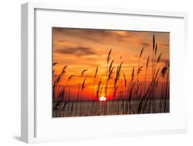 Peaceful Chesapeake Bay Sunrise in Calvert County, Maryland.-Yvonne Navalaney-Framed Photographic Print