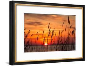 Peaceful Chesapeake Bay Sunrise in Calvert County, Maryland.-Yvonne Navalaney-Framed Photographic Print