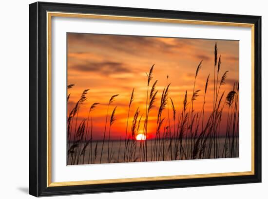 Peaceful Chesapeake Bay Sunrise in Calvert County, Maryland.-Yvonne Navalaney-Framed Photographic Print