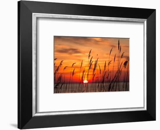 Peaceful Chesapeake Bay Sunrise in Calvert County, Maryland.-Yvonne Navalaney-Framed Photographic Print