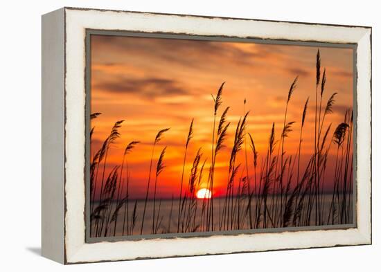 Peaceful Chesapeake Bay Sunrise in Calvert County, Maryland.-Yvonne Navalaney-Framed Premier Image Canvas