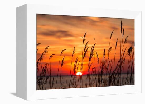 Peaceful Chesapeake Bay Sunrise in Calvert County, Maryland.-Yvonne Navalaney-Framed Premier Image Canvas